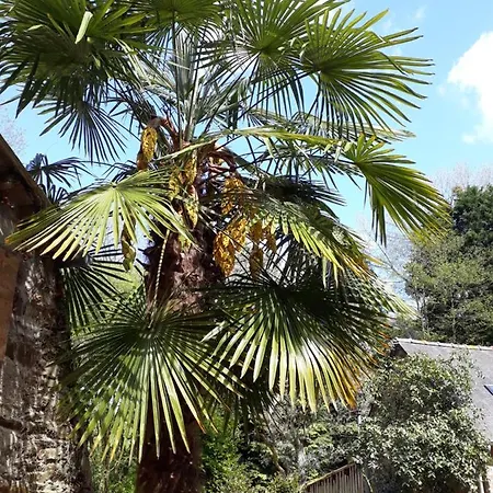 Le Vieux Moulin *