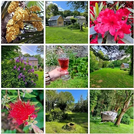 Le Vieux Moulin *